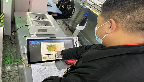 成都地铁智慧出行新场景 票务服务助力科学防疫与智慧交通建设