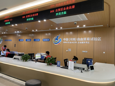 办理指南 信息技术咨询服务审批与流程详解