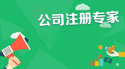 高新区信息技术咨询服务公司注册 一站式专业机构助力企业高效启航