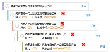 包头市卓越信息技术咨询有限责任公司 专业赋能，引领企业数字化转型